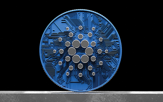 Elon Musk Challenged: Cardano Calls for Collaboration